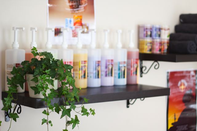 Image d'une plante verte avec des produits de coiffure au salon Quintessence